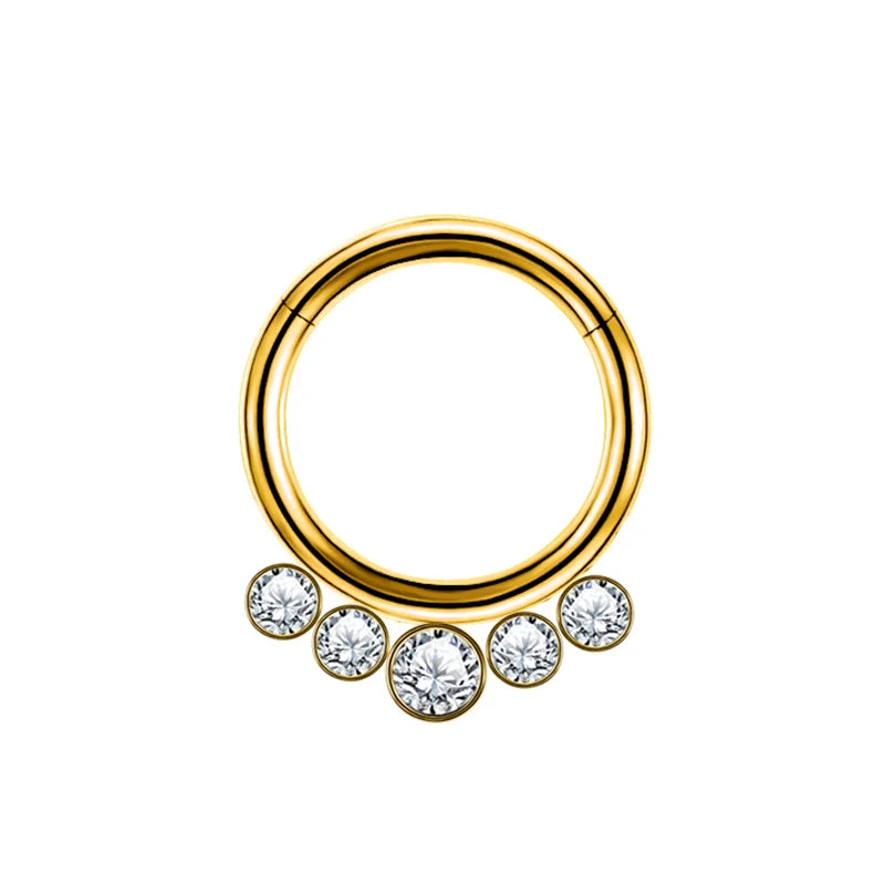 ASTM F136 Titan Antiallergisch Septum Piercing Nasenring Tragus Knorpel Ohrring Lip Stud Zirkon Clicker Hoop Körperschmuck 16G