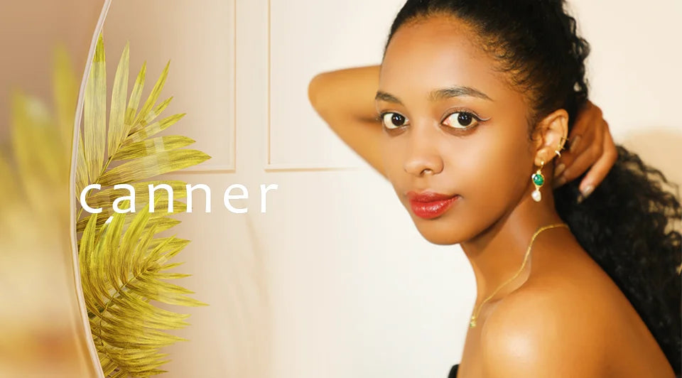 CANNER 0,5-1,2 Karat D Farbe Moissanit Ohrstecker Ohrringe für Frauen 925 Sterling Silber Funkelnder Piercing Ohrring Edlen Schmuck