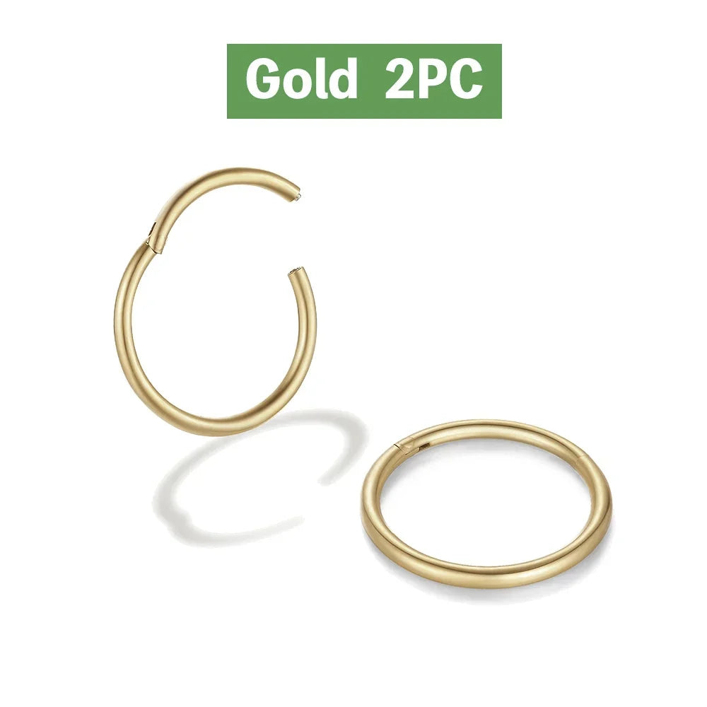 2/6PCS Nahtloser 316L Edelstahl Nasenring und Hoop Ohrring für Septum Helix Tragus