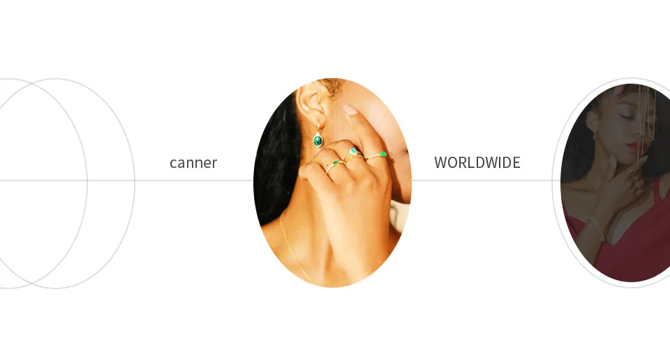 CANNER 0,5-1,2 Karat D Farbe Moissanit Ohrstecker Ohrringe für Frauen 925 Sterling Silber Funkelnder Piercing Ohrring Edlen Schmuck