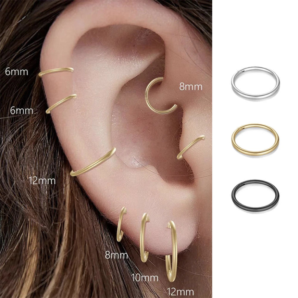 2/6PCS Nahtloser 316L Edelstahl Nasenring und Hoop Ohrring für Septum Helix Tragus