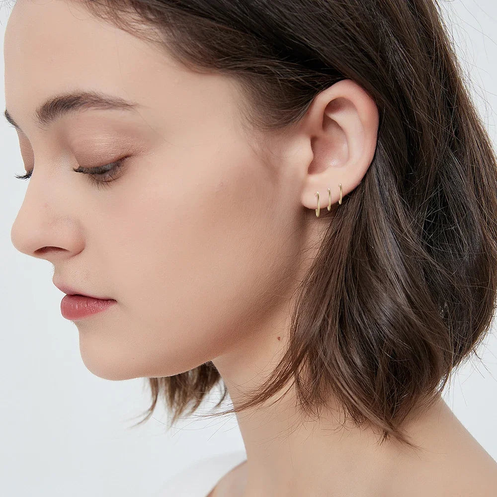 2/6PCS Nahtloser 316L Edelstahl Nasenring und Hoop Ohrring für Septum Helix Tragus