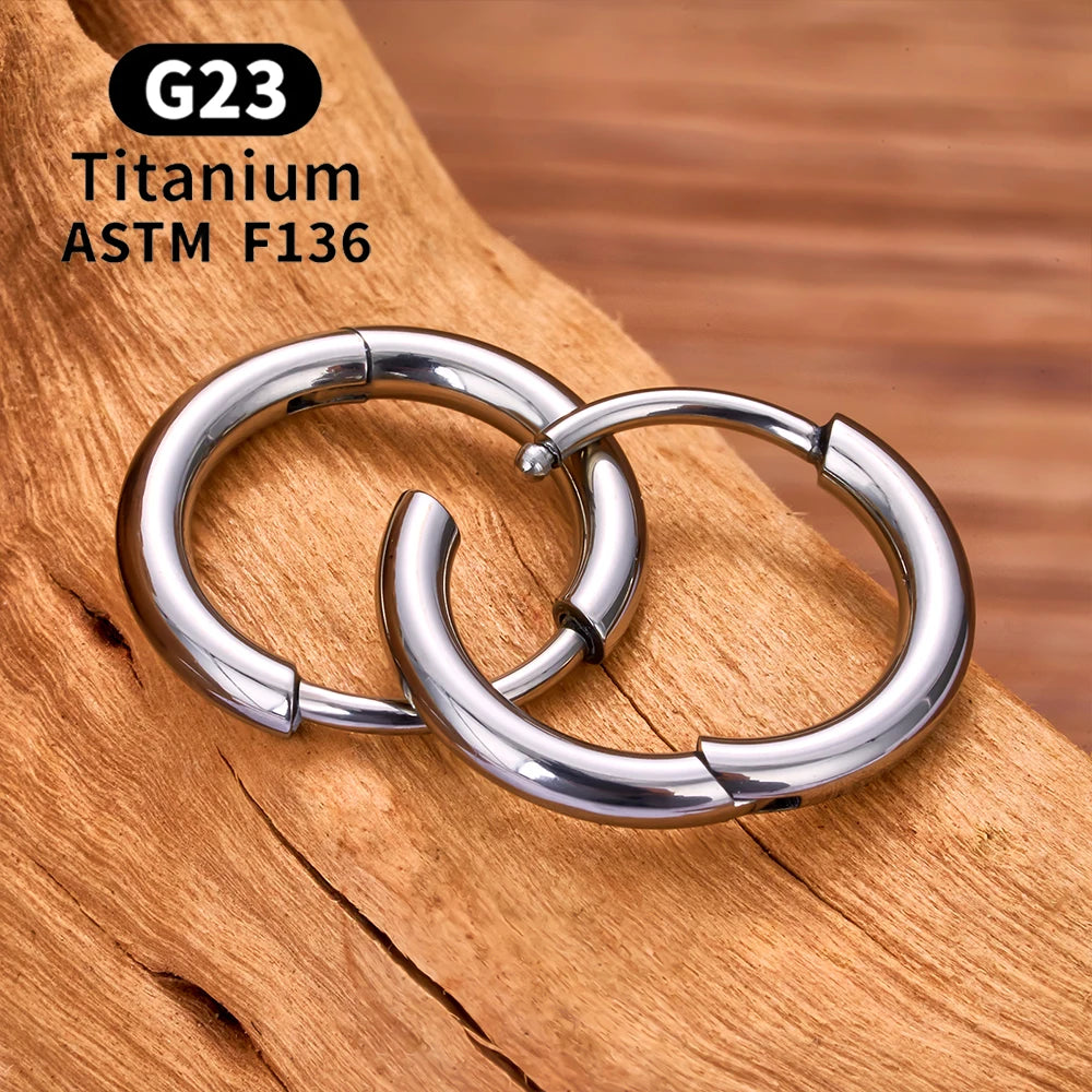 2/20PCS G23 Titan Ohrring Hoop CZ Klapp Segment Runde Nase Ring für Frauen Ohr Tragus Knorpel Helix Daith Piercing Schmuck