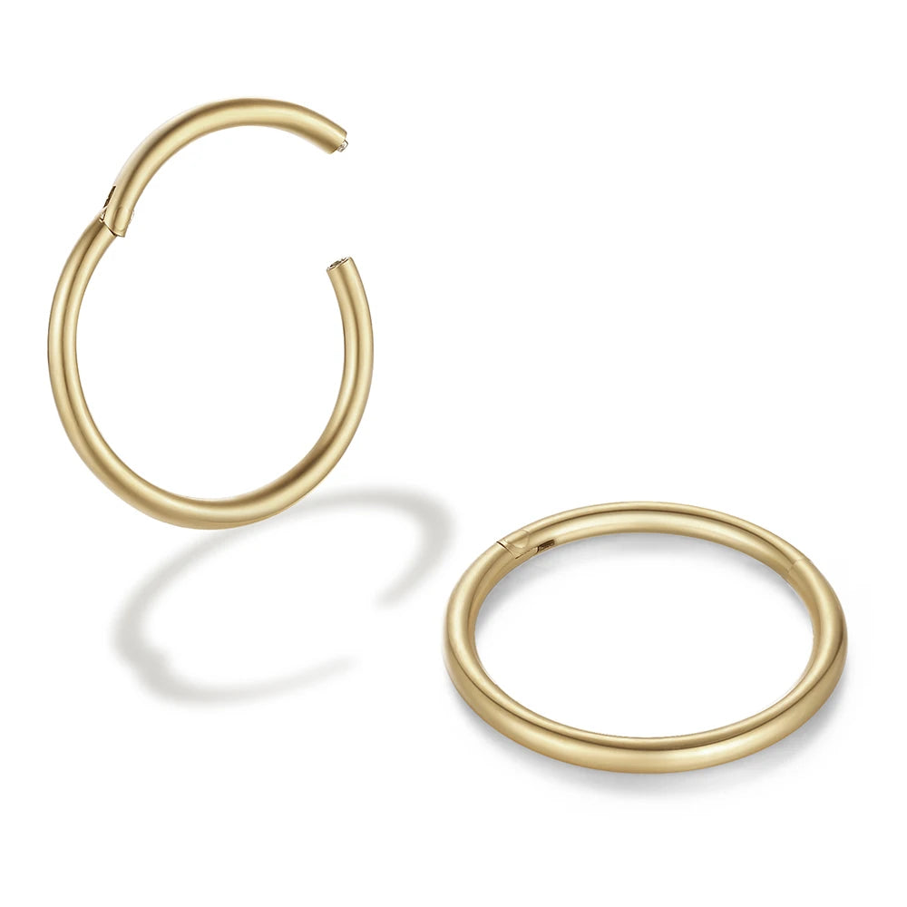 2/6PCS Nahtloser 316L Edelstahl Nasenring und Hoop Ohrring für Septum Helix Tragus