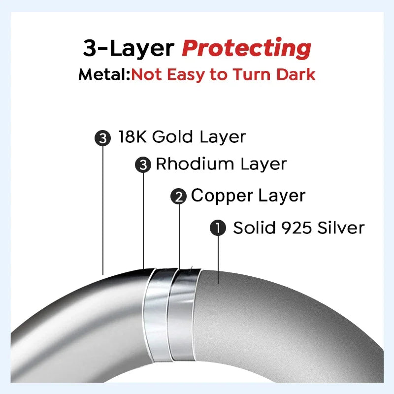 100 % echtes Sterlingsilber S925 Moissanit Ohrringe Ohrstecker mit 2 Zertifikaten D VVS1 Pass Diamant Teststift für Frauen Männer Schmuck